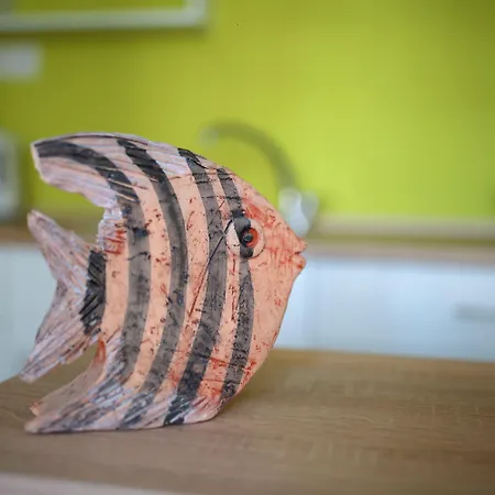 Musala Auberge de jeunesse